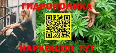 бошки Пушкино