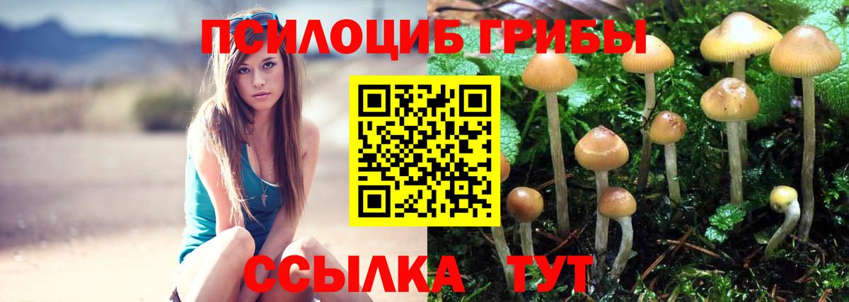 Галлюциногенные грибы прущие грибы Сокол
